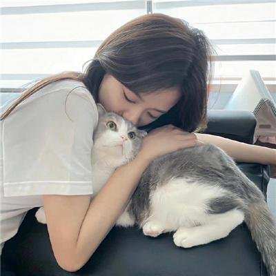 风起云舒