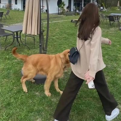 四面夏娃
